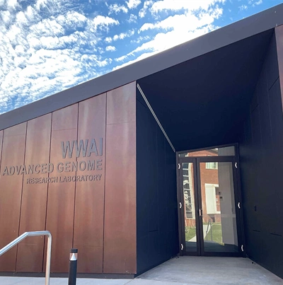 Transforming building materials into luxurious architectural 8
