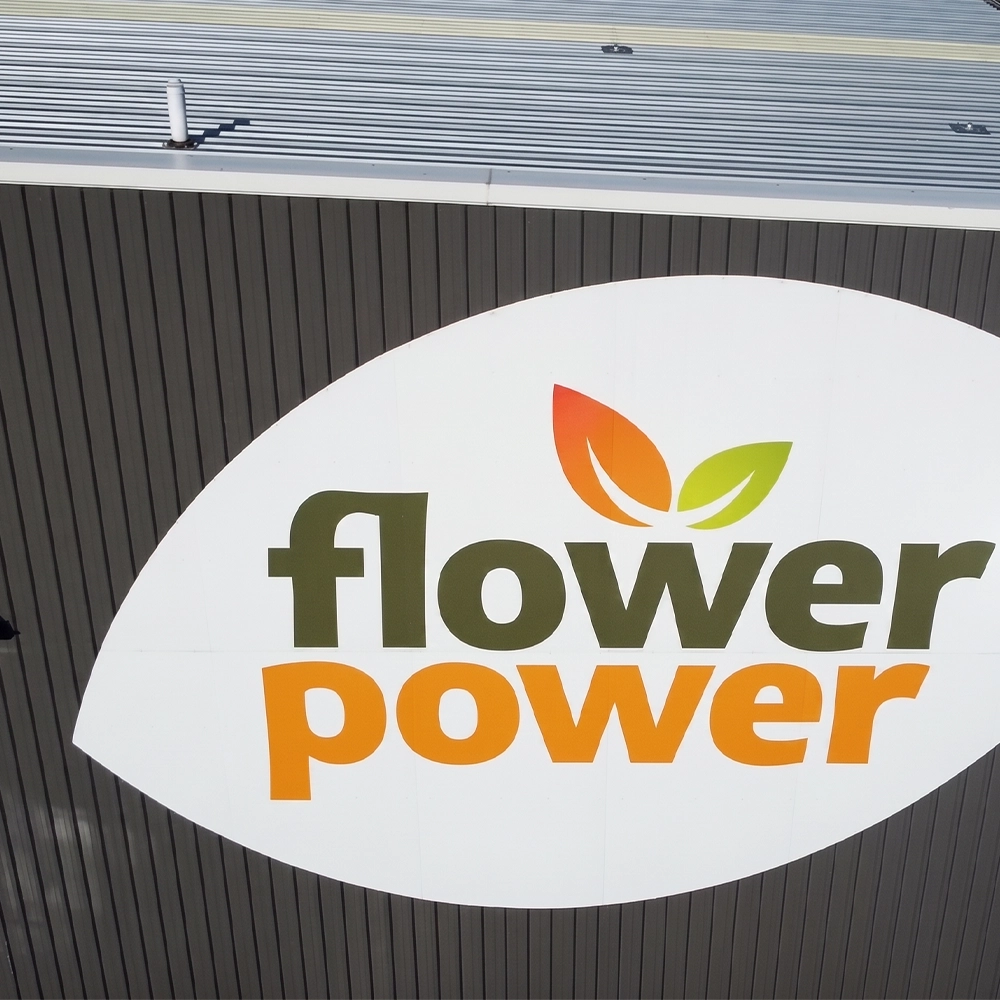 Flower power 4