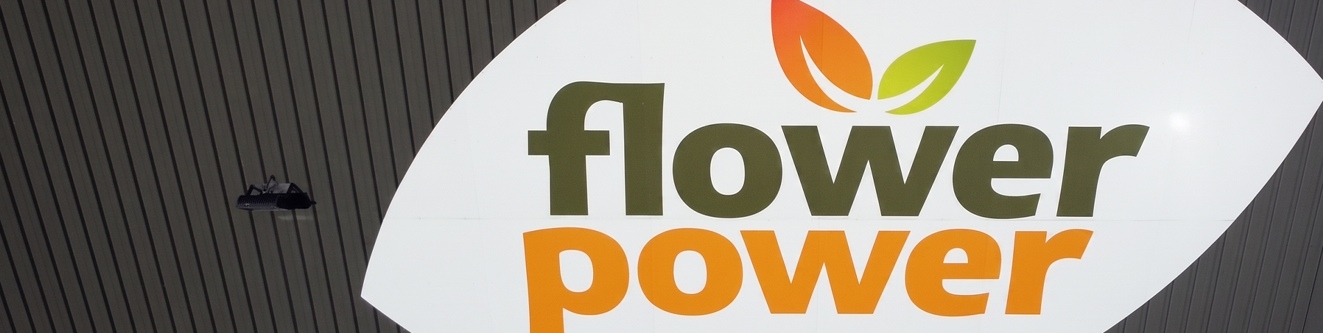 Flower Power